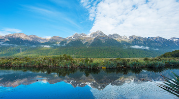 Boat Cruise at Fiordland National Park